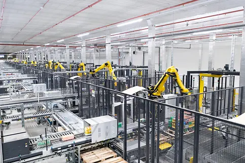 Pallettázó robotok