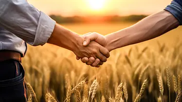 Handshake